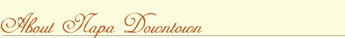 About Napa Downtown Association